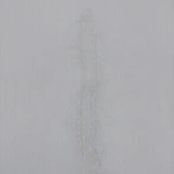 Larva Lace Angel Brush Fly Tying