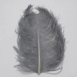 Wapsi Ostrich Plumes