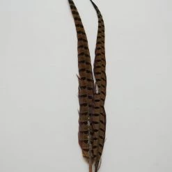 Fly Tying Wapsi Ringneck Pheasant Tail Feathers