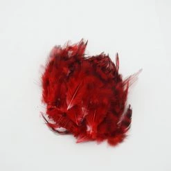 Wapsi Barred Strung Neck Hackle