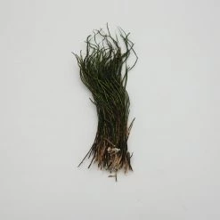 Fly Angler Strung Natural Peacock Herl