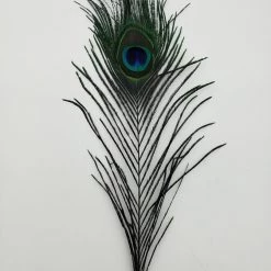 Fly Angler Peacock Eyes Fly Tying 14 Fly Angler Peacock Eyes Fly Tying