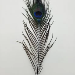 Fly Angler Peacock Eyes Fly Tying