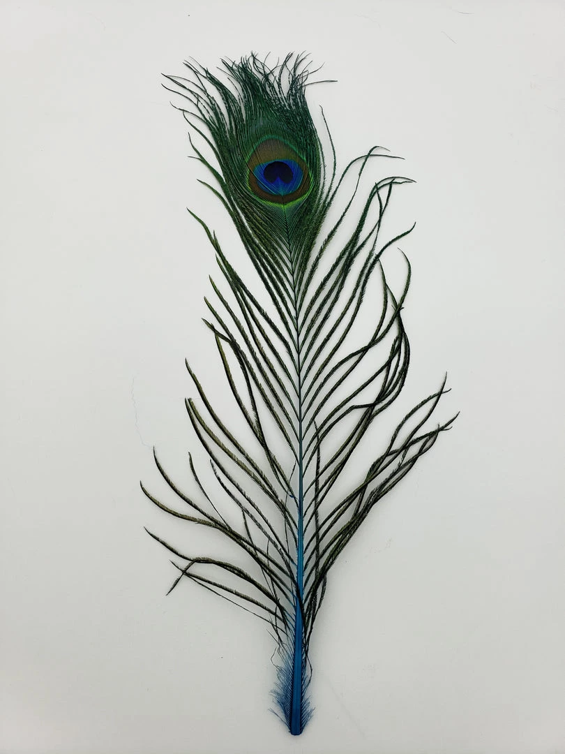 Fly Angler Peacock Eyes Fly Tying 2 Fly Angler Peacock Eyes Fly Tying