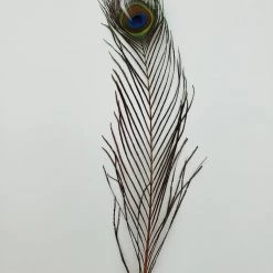 Fly Angler Peacock Eyes Fly Tying 11 Fly Angler Peacock Eyes Fly Tying