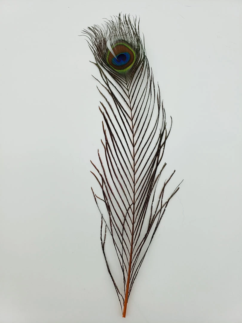 Fly Angler Peacock Eyes Fly Tying 4 Fly Angler Peacock Eyes Fly Tying