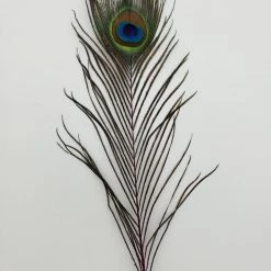 Fly Angler Peacock Eyes Fly Tying 12 Fly Angler Peacock Eyes Fly Tying