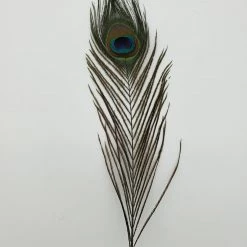 Fly Angler Peacock Eyes Fly Tying 13 Fly Angler Peacock Eyes Fly Tying