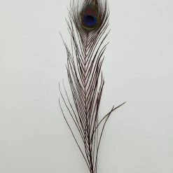 Fly Angler Peacock Eyes Fly Tying 10 Fly Angler Peacock Eyes Fly Tying