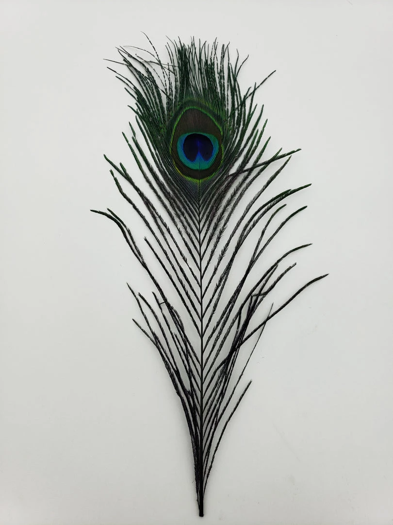 Fly Angler Peacock Eyes Fly Tying 8 Fly Angler Peacock Eyes Fly Tying