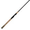 Fenwick HMG Spinning Rod Fishing Rods