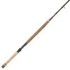 Fenwick HMX Mooching Rod Fishing Rods