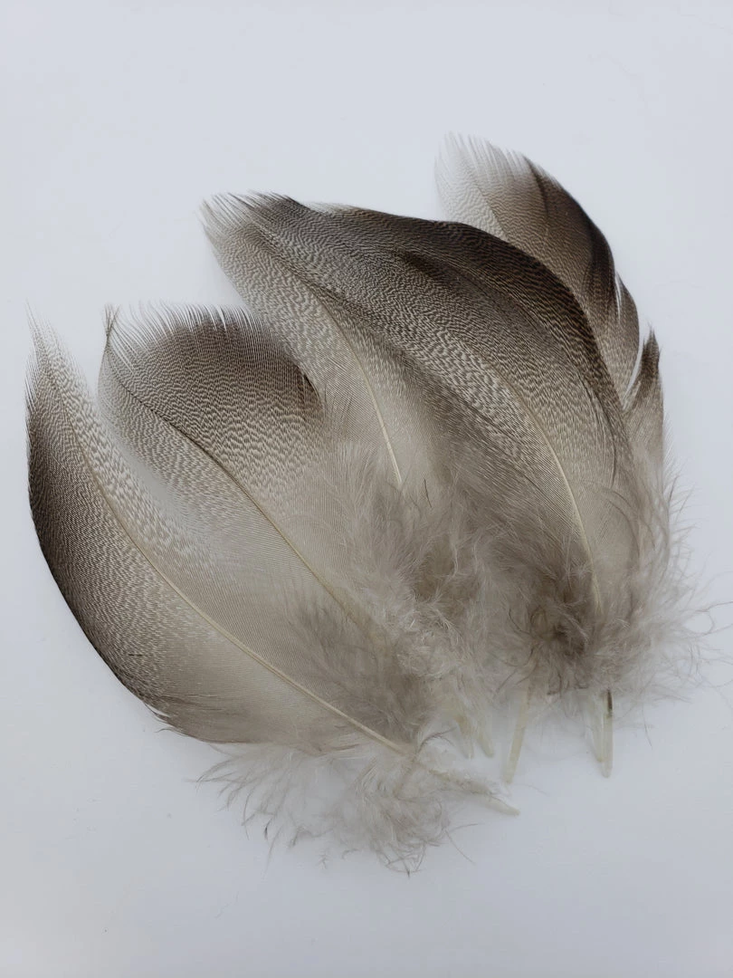 Hareline Bronze Mallard Fly Tying 1 Hareline Bronze Mallard Fly Tying