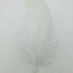 Hareline Select Goose Shoulder Fly Tying 15 Hareline Select Goose Shoulder Fly Tying