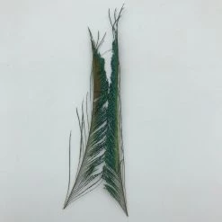 Hook & Hackle Peacock Sword 2 Stems Fly Tying