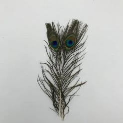 Hook & Hackle Peacock Eyes 2 Stems