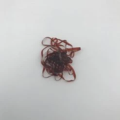 Rainy's Flies Rainy's Stretch Flex Fly Tying