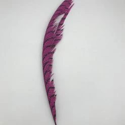 Skeena River Fly Supply Lady Amherst Center Tail Feather Fly Tying 3 Skeena River Fly Supply Lady Amherst Center Tail Feather Fly Tying