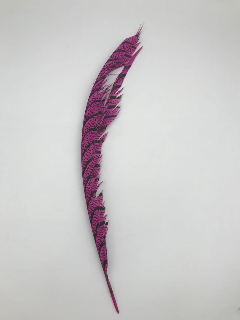 Skeena River Fly Supply Lady Amherst Center Tail Feather Fly Tying 2 Skeena River Fly Supply Lady Amherst Center Tail Feather Fly Tying