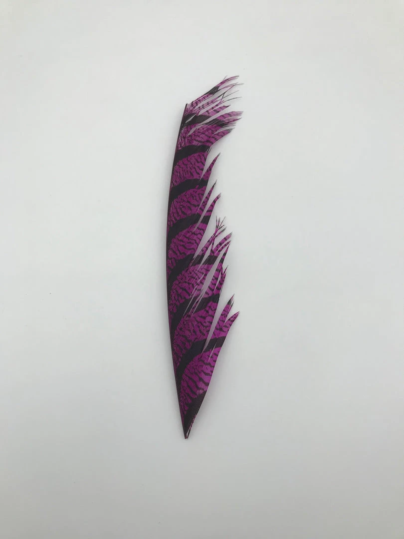 Spey Stuff Lady Amherst Pieces Fly Tying 1 Spey Stuff Lady Amherst Pieces Fly Tying