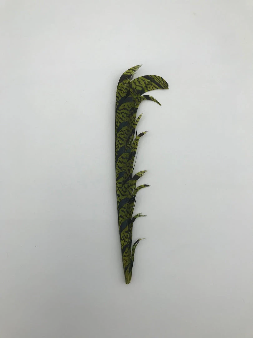 Spey Stuff Lady Amherst Pieces Fly Tying 2 Spey Stuff Lady Amherst Pieces Fly Tying