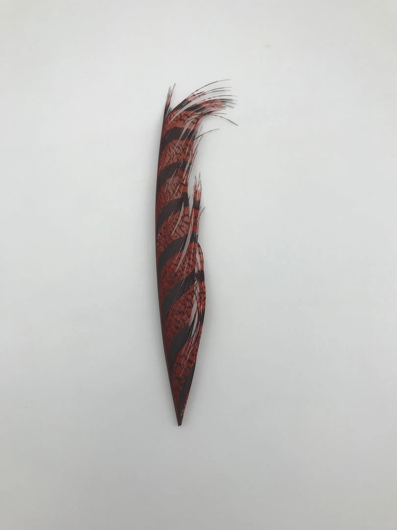 Spey Stuff Lady Amherst Pieces Fly Tying 3 Spey Stuff Lady Amherst Pieces Fly Tying