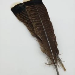 Fly Tying OfishL Fly Gear Mottled White Tipped Wild Turkey Tail Feathers 6 Pack