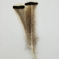 OfishL Fly Gear Fly Tying OfishL Royal Palm Mottled Turkey Tails 6 Pack