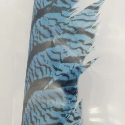 OfishL Fly Gear Lady Amherst Centre Tail Fly Tying 7 OfishL Fly Gear Lady Amherst Centre Tail Fly Tying