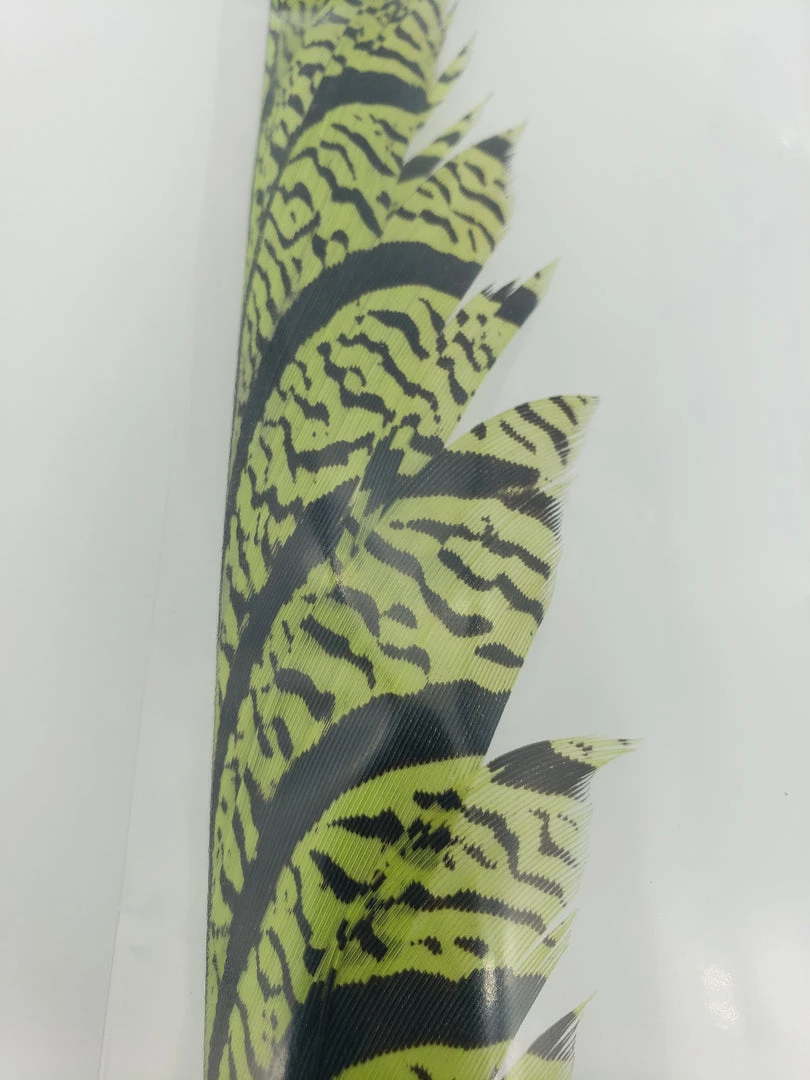 OfishL Fly Gear Lady Amherst Centre Tail Fly Tying 5 OfishL Fly Gear Lady Amherst Centre Tail Fly Tying