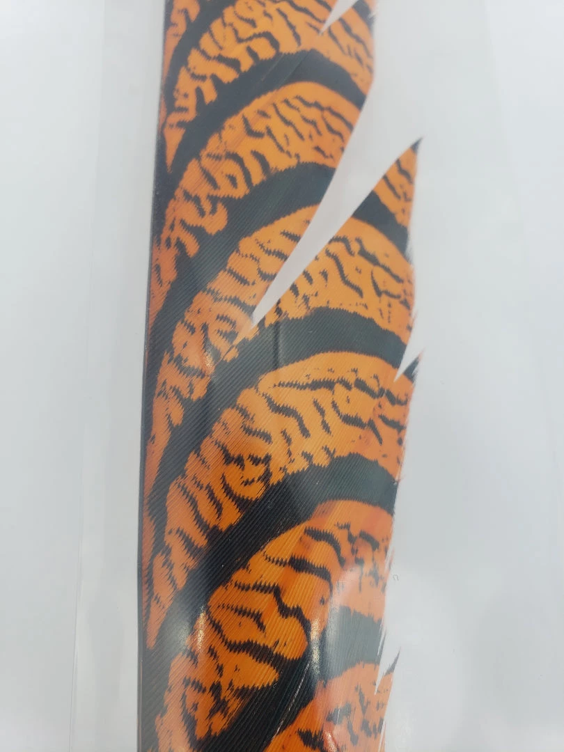 OfishL Fly Gear Lady Amherst Centre Tail Fly Tying 4 OfishL Fly Gear Lady Amherst Centre Tail Fly Tying