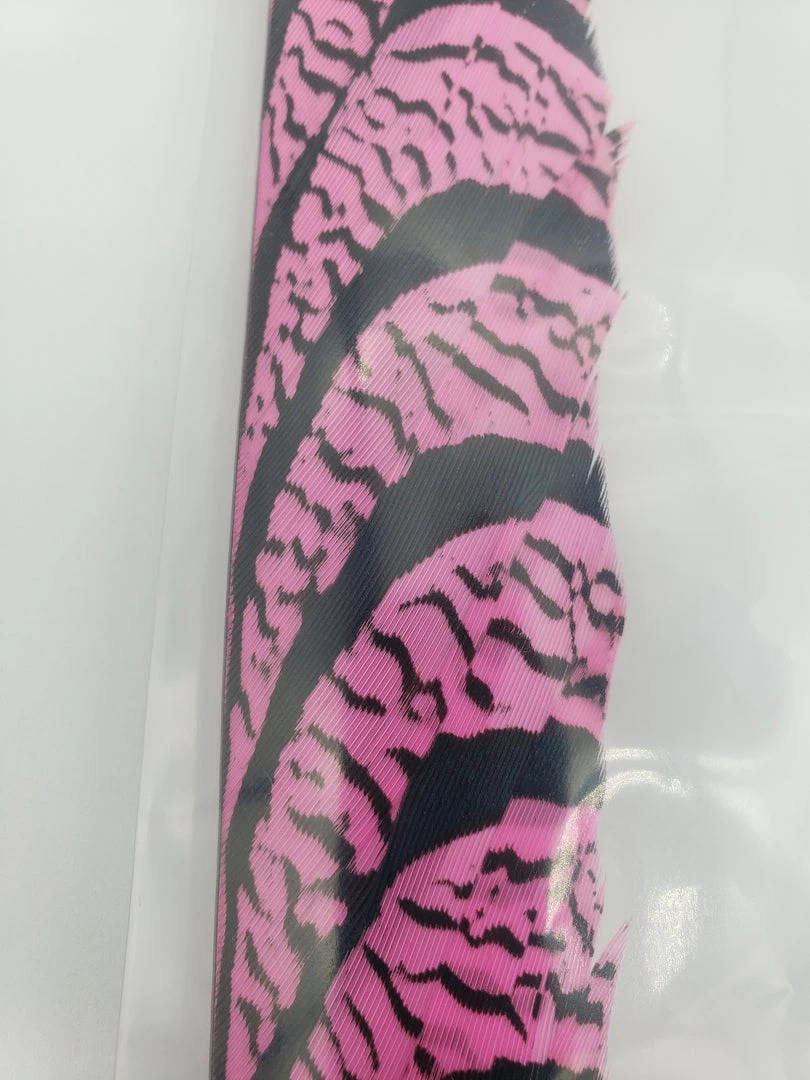 OfishL Fly Gear Lady Amherst Centre Tail Fly Tying 2 OfishL Fly Gear Lady Amherst Centre Tail Fly Tying