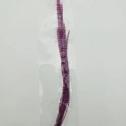 Fly Tying OfishL Fly Gear Metz #2 Saddle Pack