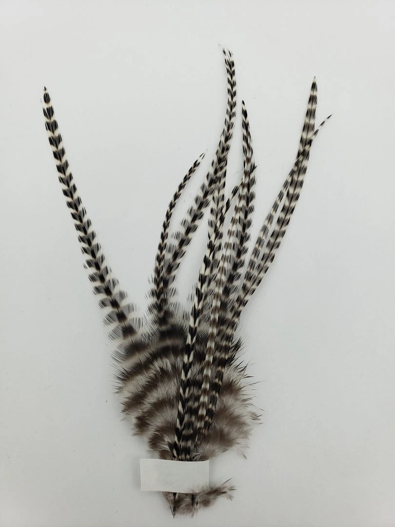 OfishL Fly Gear Metz #2 Saddle Pack Short Fly Tying 3 OfishL Fly Gear Metz #2 Saddle Pack Short Fly Tying