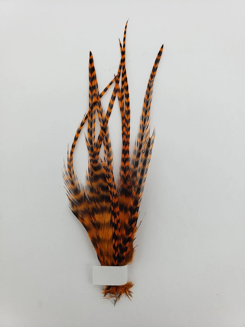 OfishL Fly Gear Metz #2 Saddle Pack Short Fly Tying 1 OfishL Fly Gear Metz #2 Saddle Pack Short Fly Tying