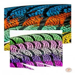 Skeena River Fly Supply Lady Amherst Center Tail Feather Fly Tying