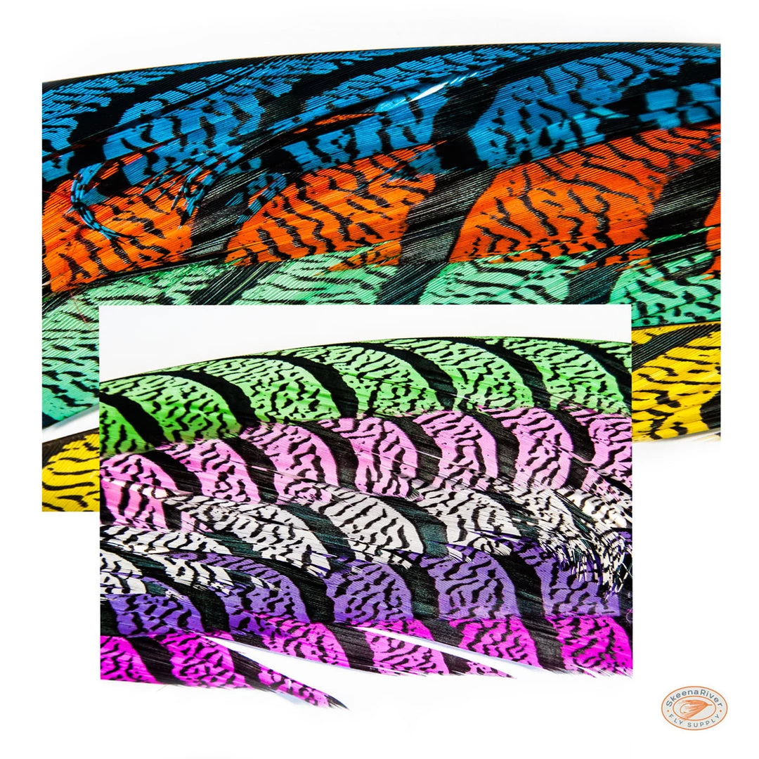 Skeena River Fly Supply Lady Amherst Center Tail Feather Fly Tying 1 Skeena River Fly Supply Lady Amherst Center Tail Feather Fly Tying