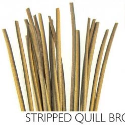 Polish Quills Hand Stripped Quills Fly Tying