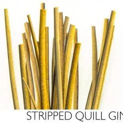 Polish Quills Hand Stripped Quills Fly Tying
