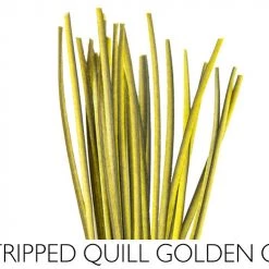 Polish Quills Hand Stripped Quills Fly Tying