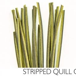 Polish Quills Hand Stripped Quills Fly Tying