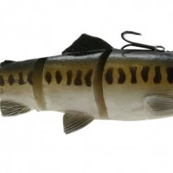 Saltwater Fishing Savage Gear Line Thru Trout