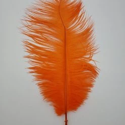 Fly Tying Spey Stuff Ostrich Plumes