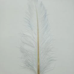 Fly Tying Spey Stuff Ostrich Plumes