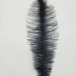 Spey Stuff Rhea Feather