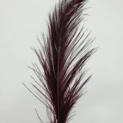 Spey Stuff Rhea Feather