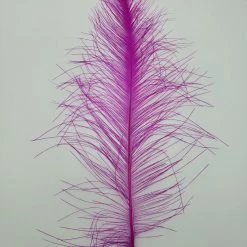 Spey Stuff Rhea Feather