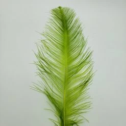 Spey Stuff Rhea Feather