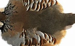 Wapsi Hungarian Partridge Skin #1