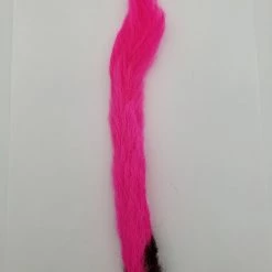 Wapsi Kiptail 17 Wapsi Kiptail